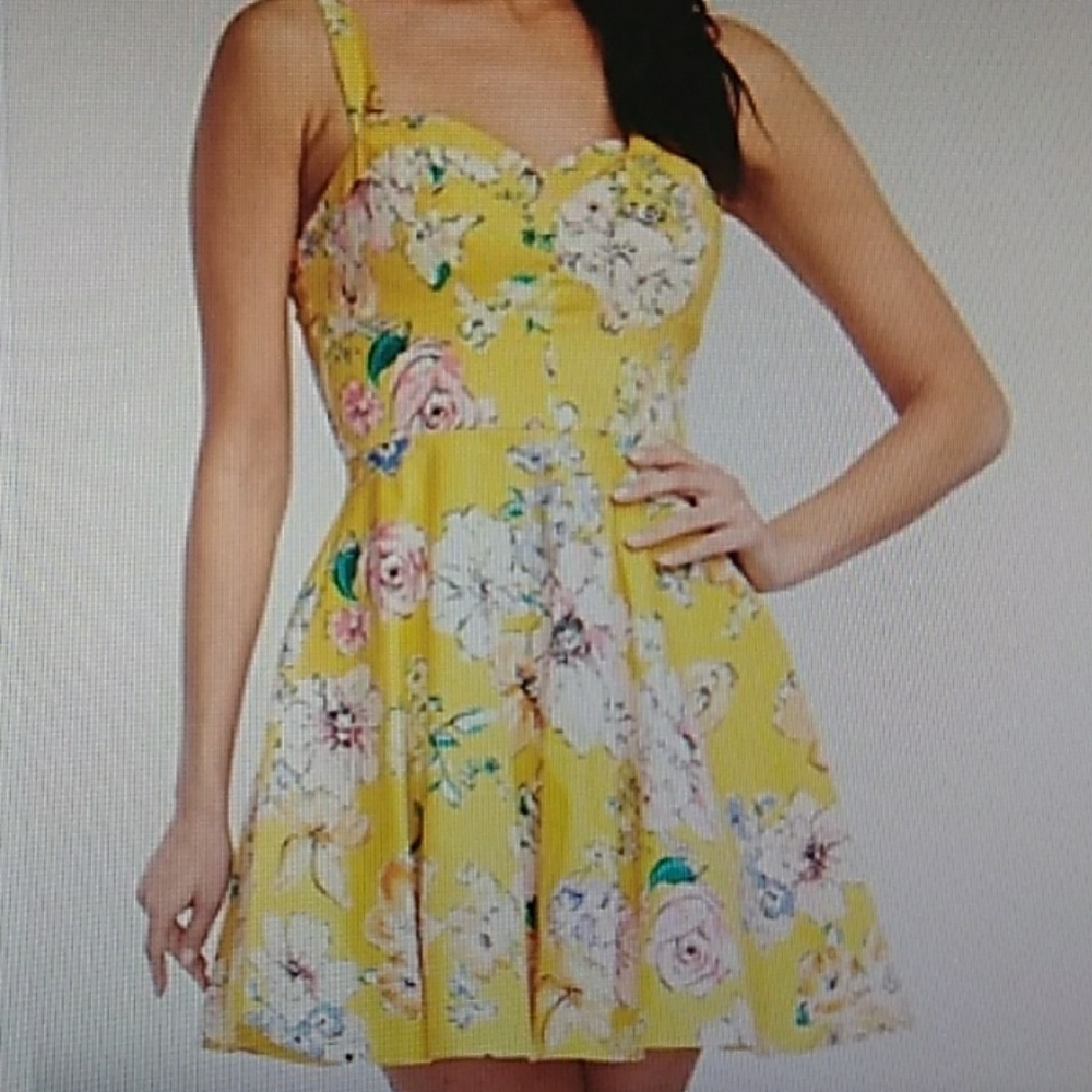 Charlotte Russe Floral & Tulle Skater Dress Yellow
